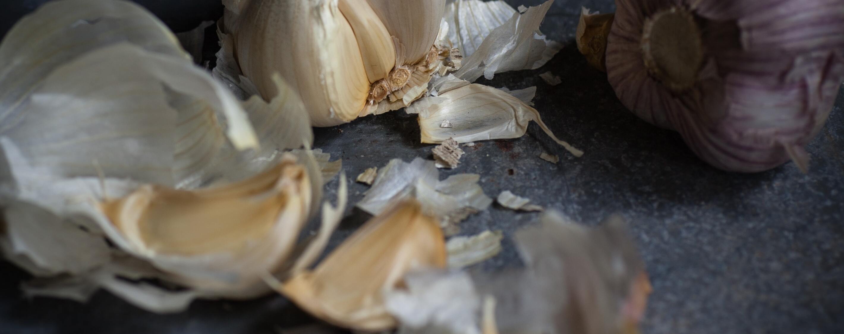 8 Effective, Natural Antibiotics to Help Beat Infections