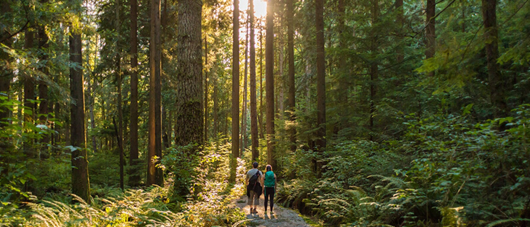 Guided Meditation: Ground Yourself Using the Earth Element